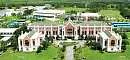 British International School